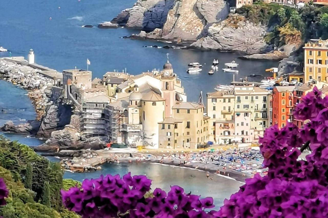 Rosablu Vacanza Tra Mare E Parco Di Portofino كامولّي المظهر الخارجي الصورة