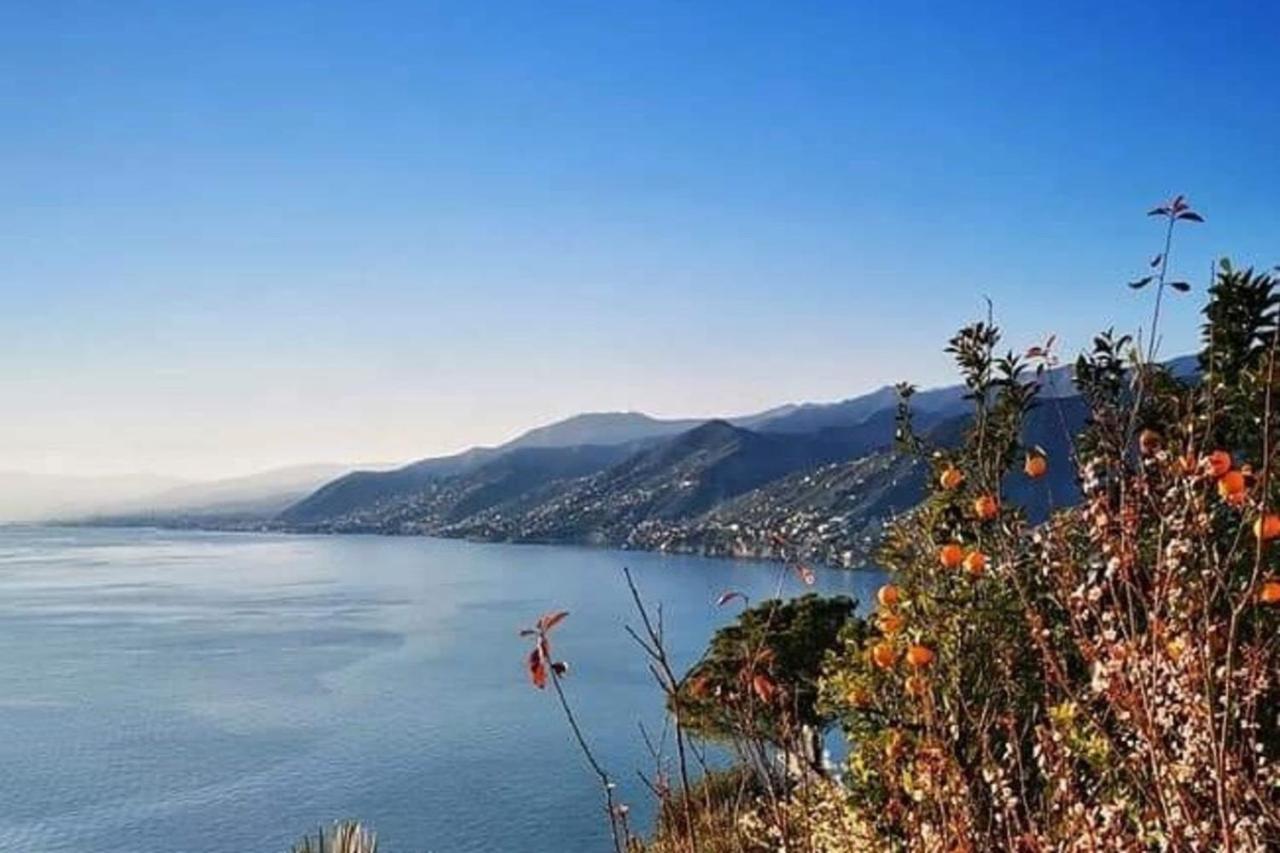 Rosablu Vacanza Tra Mare E Parco Di Portofino كامولّي المظهر الخارجي الصورة