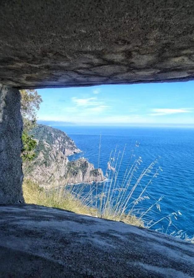 Rosablu Vacanza Tra Mare E Parco Di Portofino كامولّي المظهر الخارجي الصورة