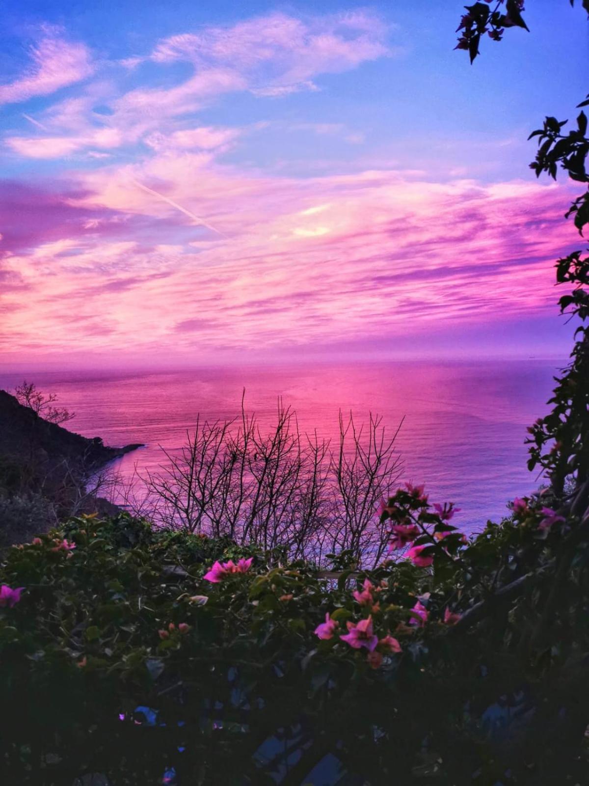 Rosablu Vacanza Tra Mare E Parco Di Portofino كامولّي المظهر الخارجي الصورة
