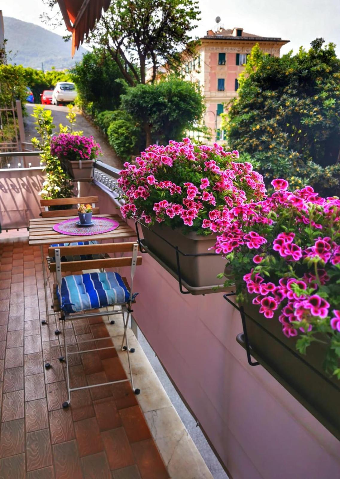 Rosablu Vacanza Tra Mare E Parco Di Portofino كامولّي المظهر الخارجي الصورة